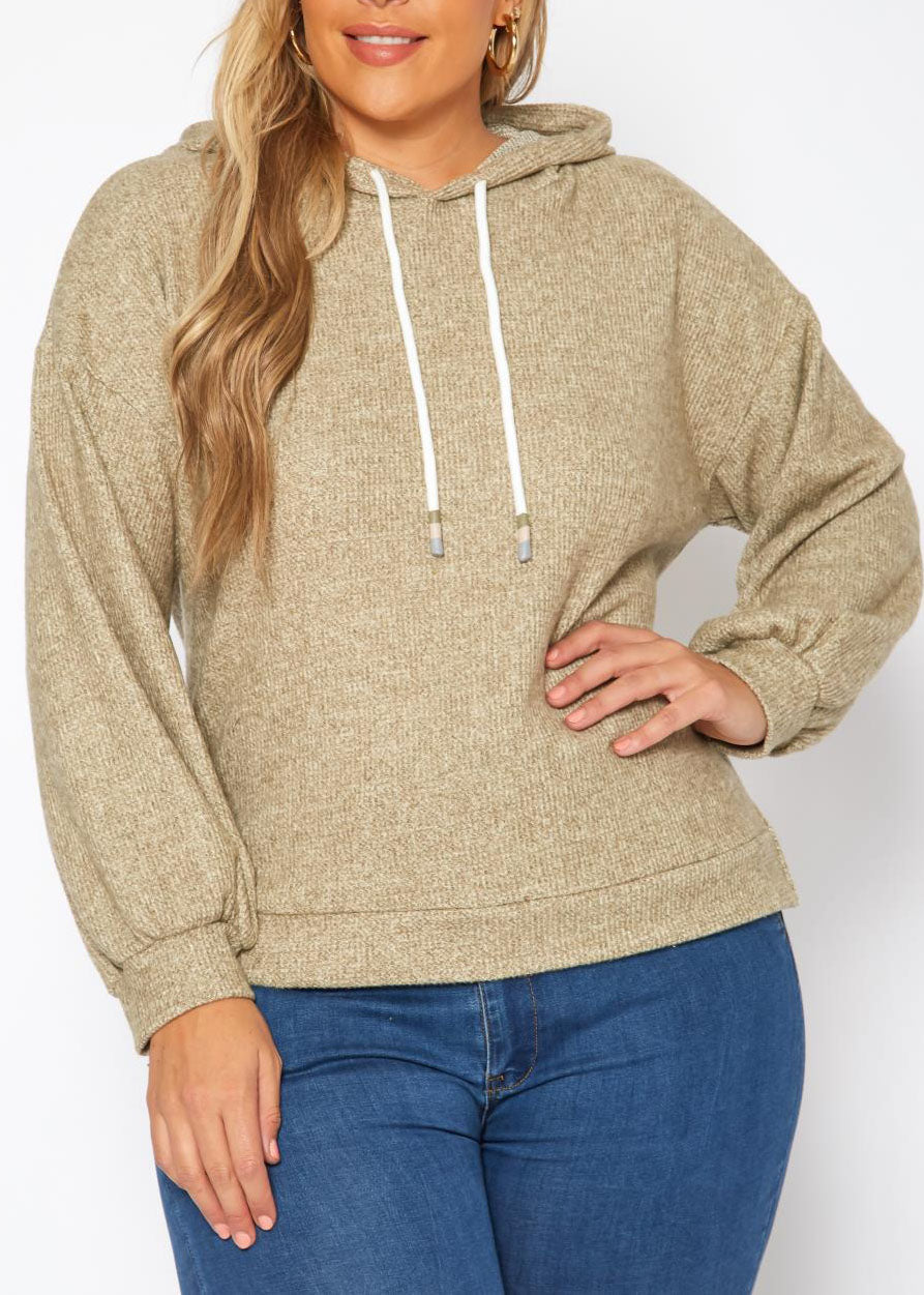 HI Curvy Plus Size Women Ribbed Knit Hooded Sweater