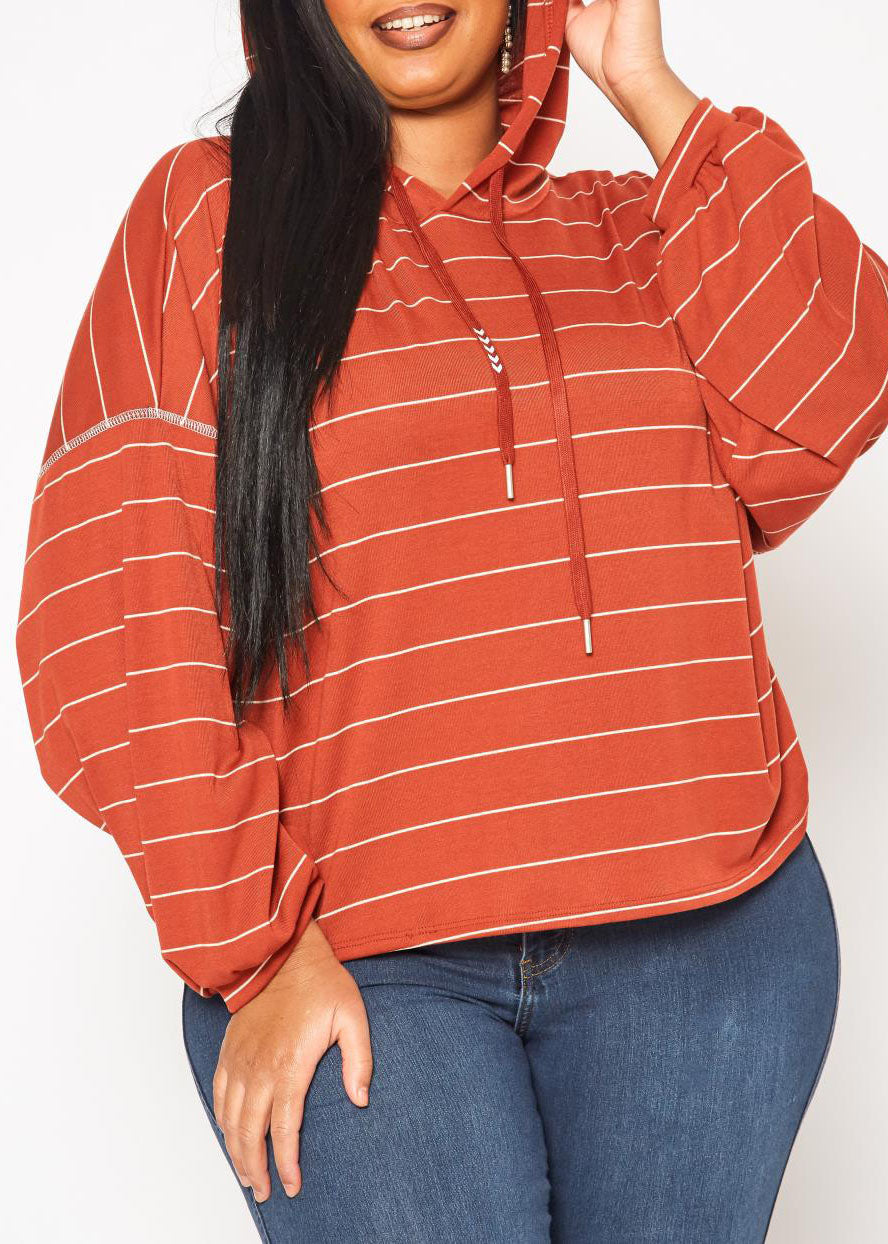 Hi Curvy Plus Size Women Striped Hooded Sweater made in USA