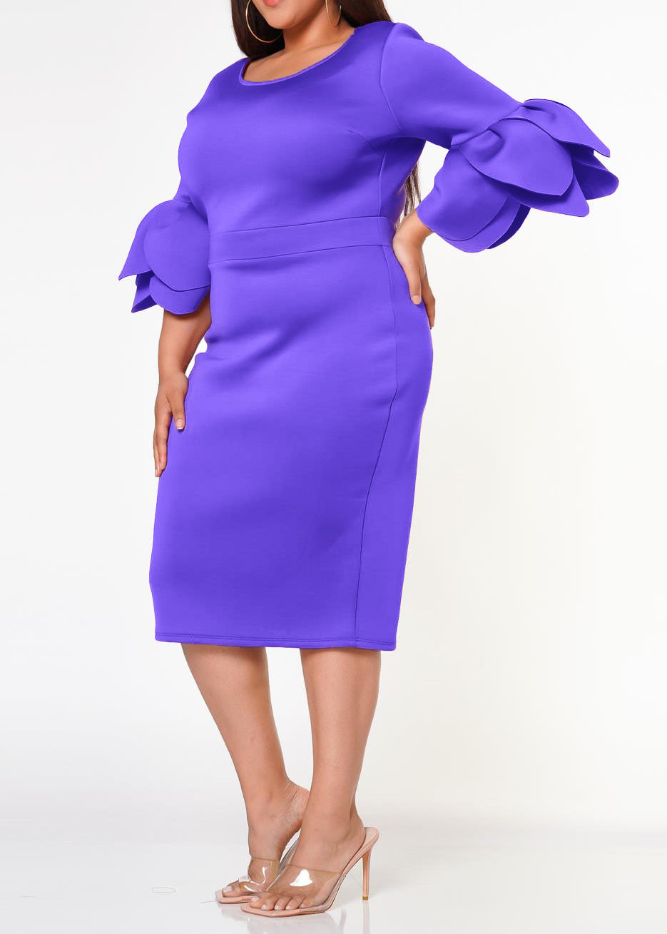 Hi Curvy Plus Size Women Elegant Form Fitting Midi Dress