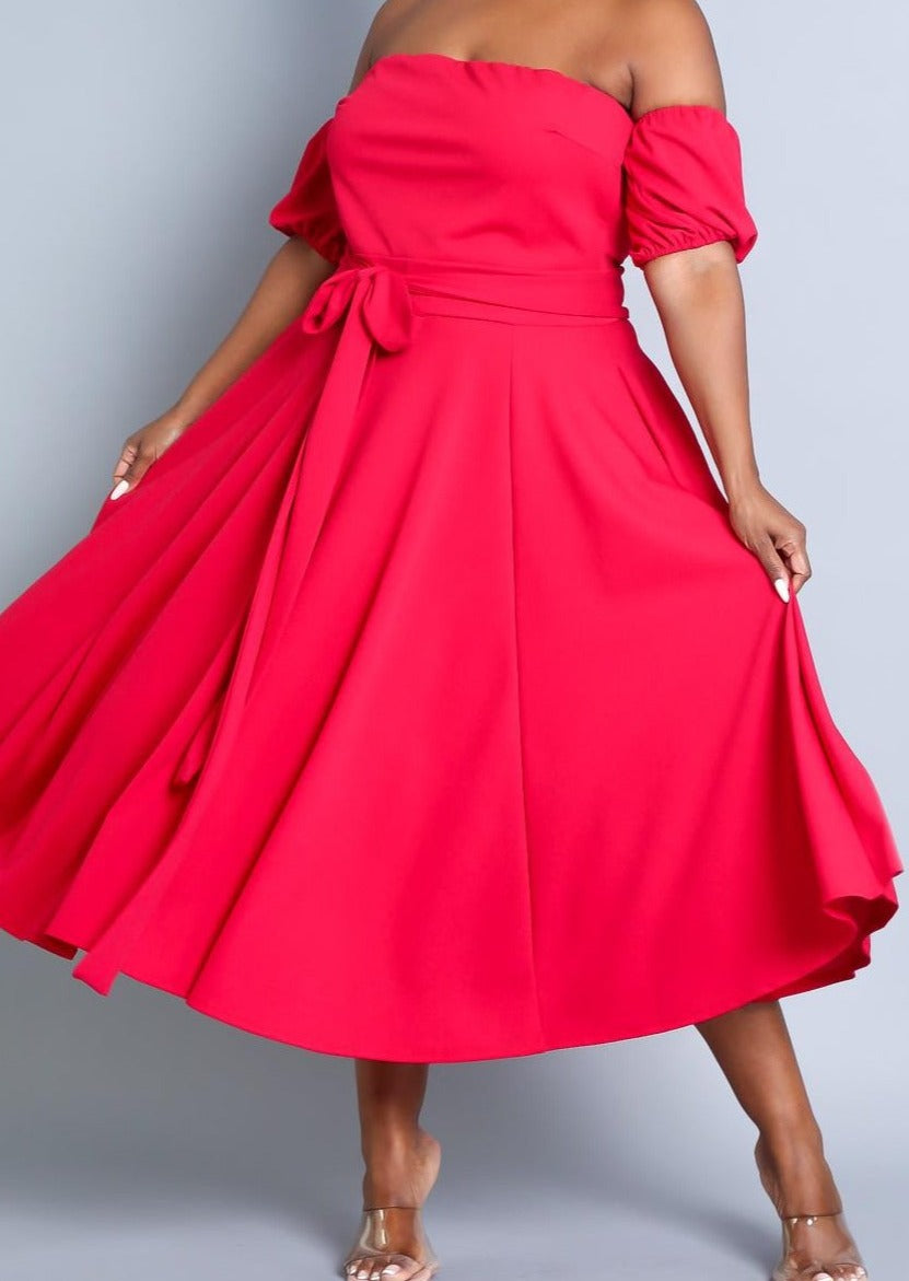 Hi Curvy Plus Size Attached Sleeves Tube Fit and Flare Dress