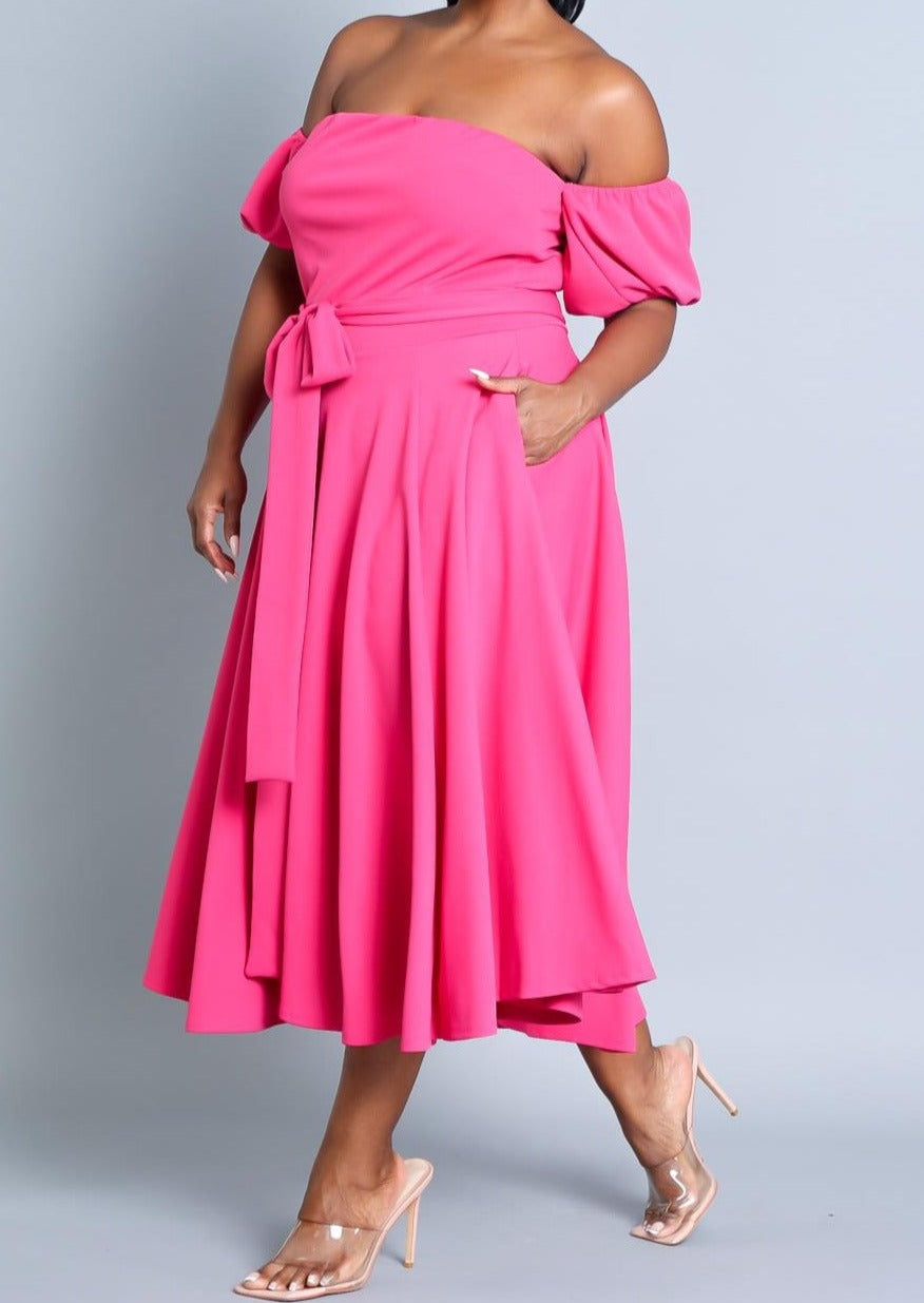 Hi Curvy Plus Size Attached Sleeves Tube Fit and Flare Dress