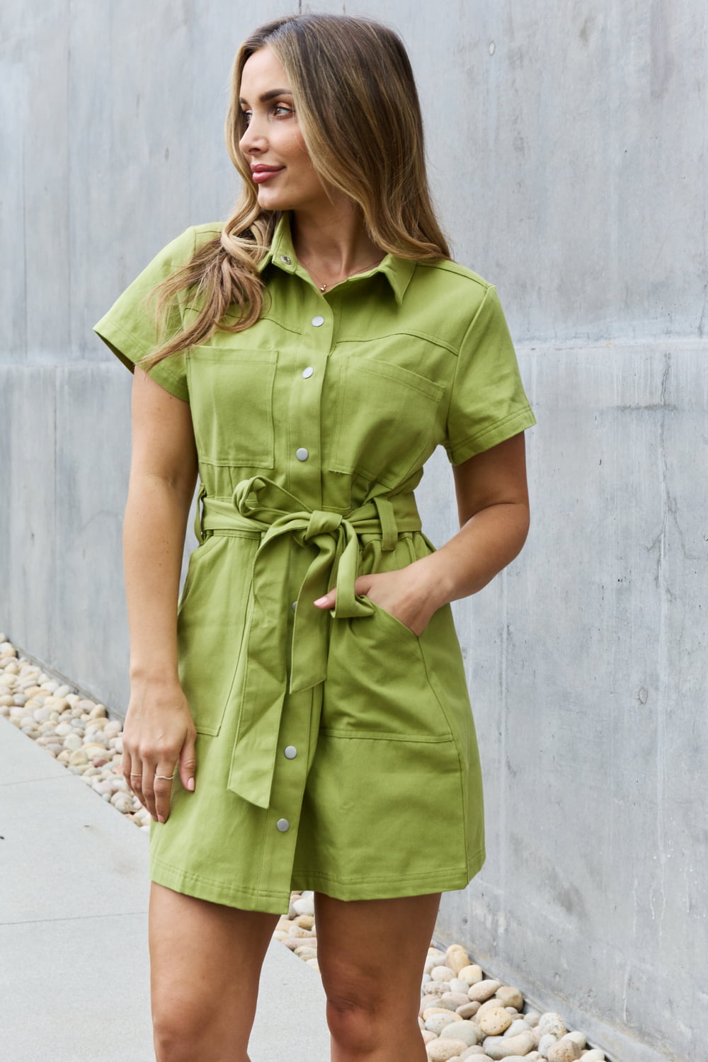 Full Size Collared neck Button Down A-Line Dress